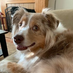 Meet your Posher, Megan